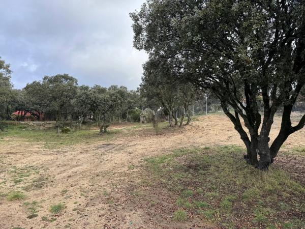 Terreno en calle Luis de Fabra, 102