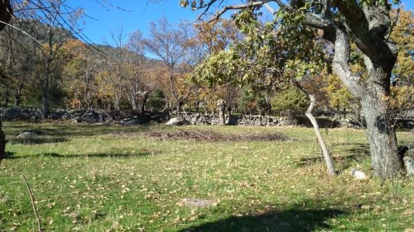 Terreno en calle Atalaya s/n