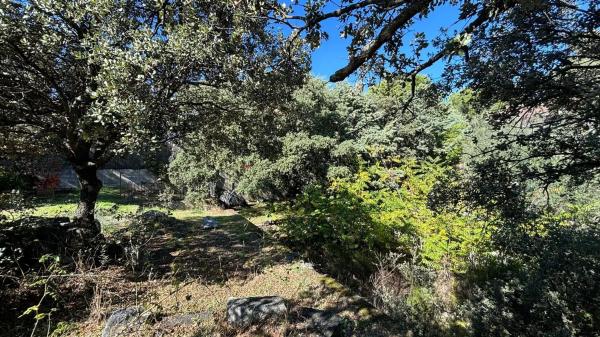 Terreno en del Río