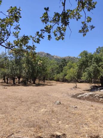 Terreno en calle Atalaya s/n