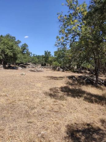 Terreno en calle Atalaya s/n