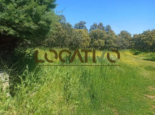 Terreno en Las Zorreras - Monte Encinar