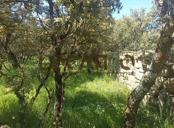 Terreno en Las Zorreras - Monte Encinar