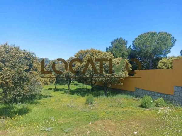 Terreno en Las Zorreras - Monte Encinar