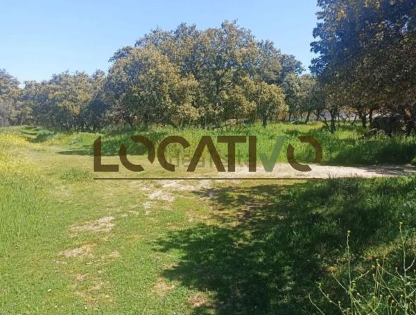 Terreno en Las Zorreras - Monte Encinar