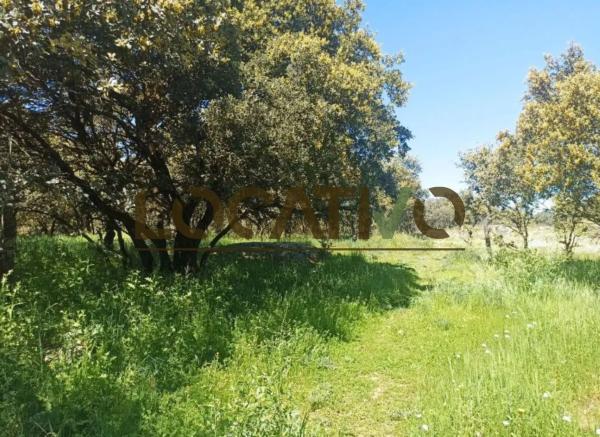 Terreno en Las Zorreras - Monte Encinar