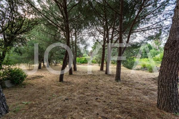 Terreno en camino Viejo, 21