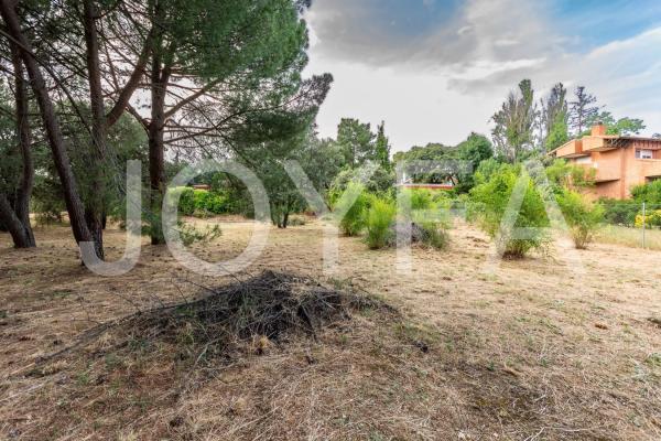 Terreno en camino Viejo, 21