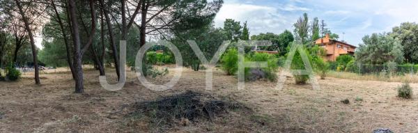 Terreno en camino Viejo, 21