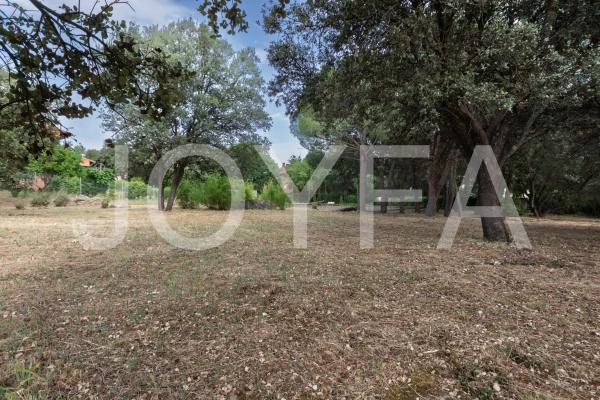 Terreno en camino Viejo, 21