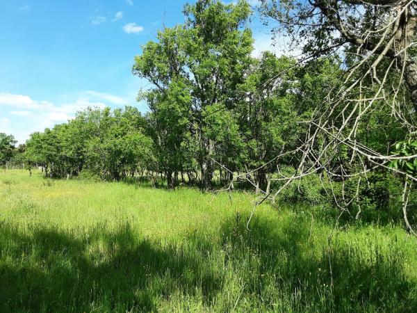 Terreno en calle Nueve