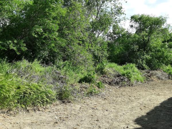 Terreno en calle Nueve