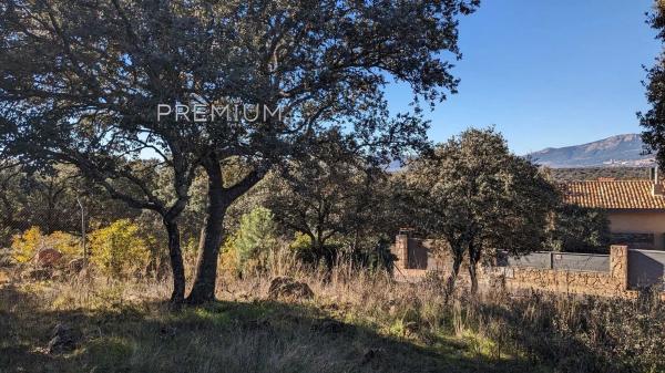 Terreno en Navalquejigo - Los Arroyos