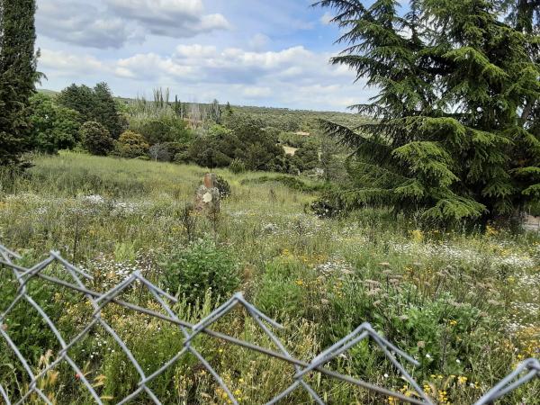 Terreno en calle Nueve