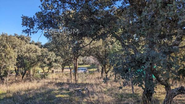 Terreno en Navalquejigo - Los Arroyos