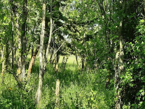 Terreno en calle Nueve