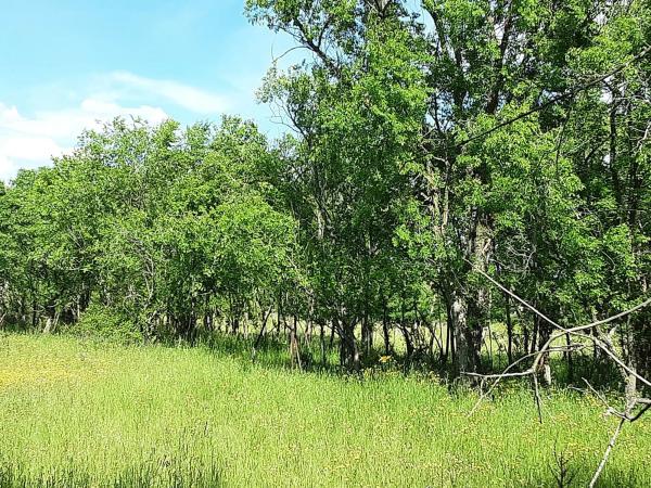 Terreno en calle Nueve
