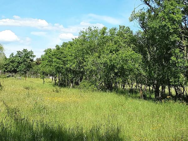 Terreno en calle Nueve
