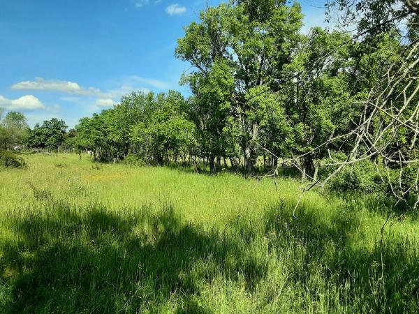 Terreno en calle Nueve