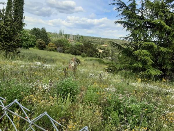 Terreno en calle Nueve