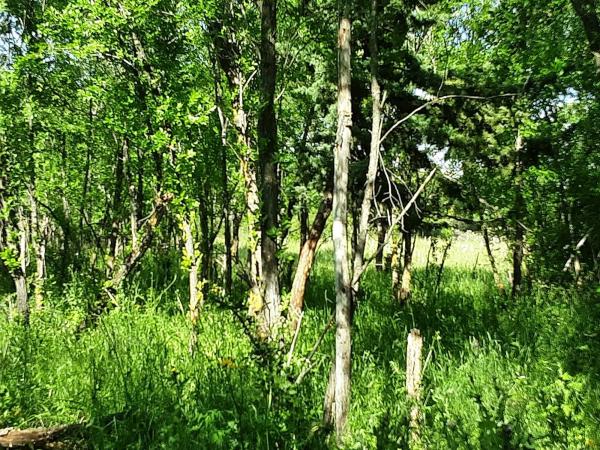 Terreno en calle Nueve