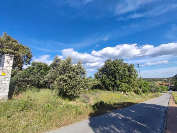 Terreno en calle del Fresno