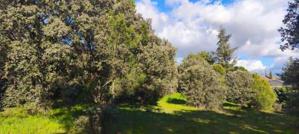 Terreno en calle Diez, 34