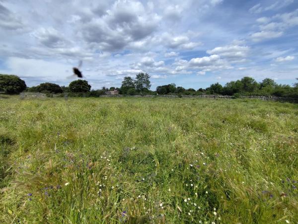 Terreno en Pinosol - El Alcor - Peralejo