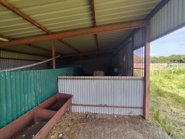 Terreno en Pinosol - El Alcor - Peralejo