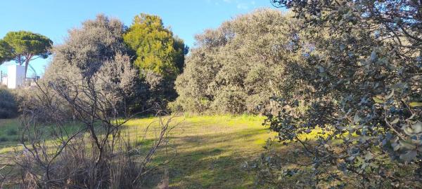 Terreno en calle Diez, 34