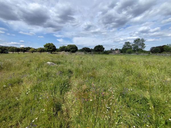 Terreno en Pinosol - El Alcor - Peralejo