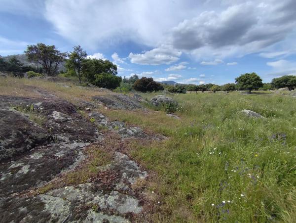 Terreno en Pinosol - El Alcor - Peralejo