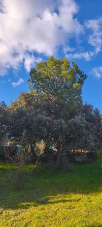 Terreno en calle Diez, 34