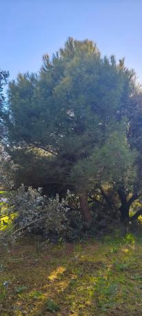 Terreno en calle Diez, 34