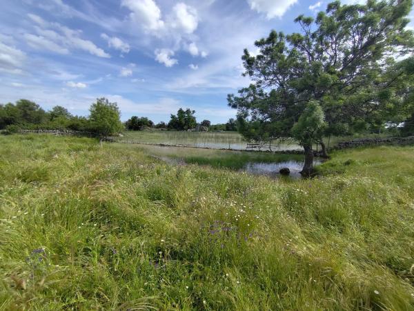 Terreno en Pinosol - El Alcor - Peralejo