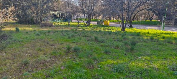 Terreno en calle Diez, 34
