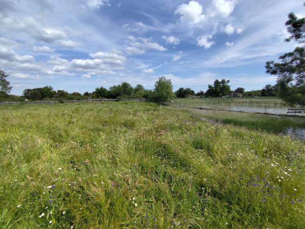 Terreno en Pinosol - El Alcor - Peralejo