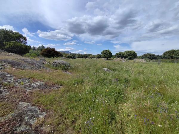 Terreno en Pinosol - El Alcor - Peralejo