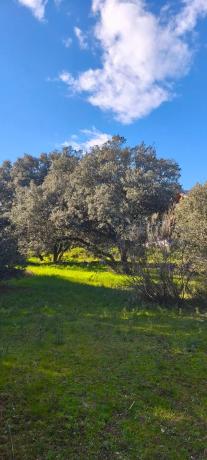 Terreno en calle Diez, 34