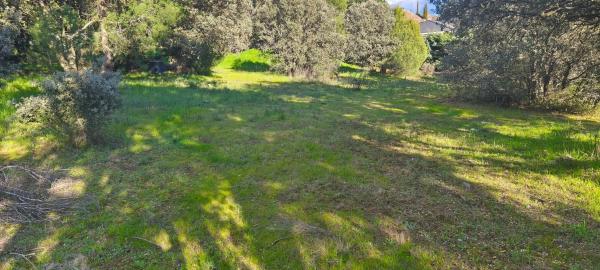 Terreno en calle Diez, 34