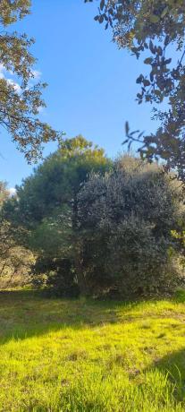 Terreno en calle Diez, 34