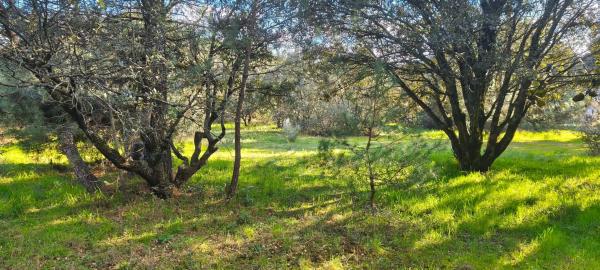 Terreno en calle Diez, 34