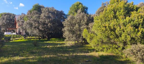 Terreno en calle Diez, 34