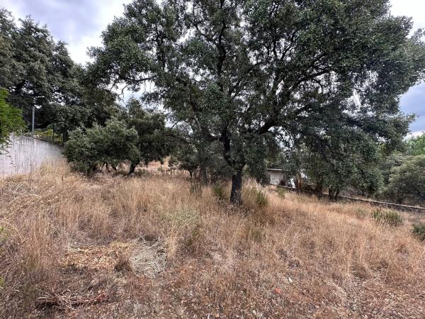 Terreno en calle del Fresno