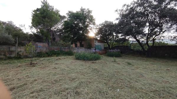 Terreno en calle del Pinar, 20