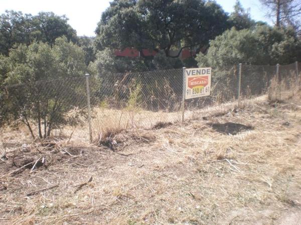 Terreno en avenida de los Cierros, 12
