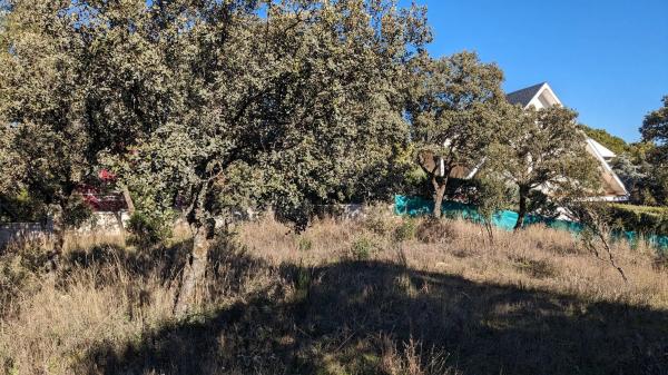 Terreno en calle Veinticuatro, 5