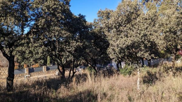 Terreno en calle Veinticuatro, 5