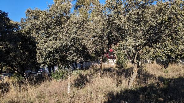 Terreno en calle Veinticuatro, 5