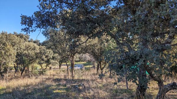 Terreno en calle Veinticuatro, 5